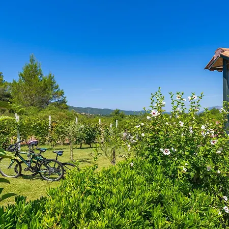 House Terra Madre * Gruda