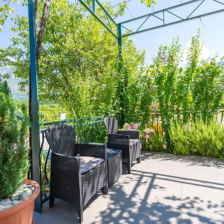 House Terra Madre 別荘