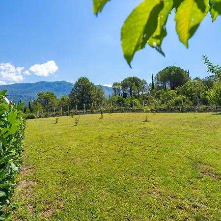 House Terra Madre 別荘 *