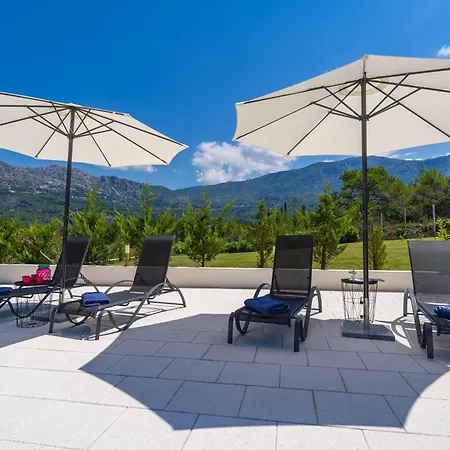 別荘 House Terra Madre *