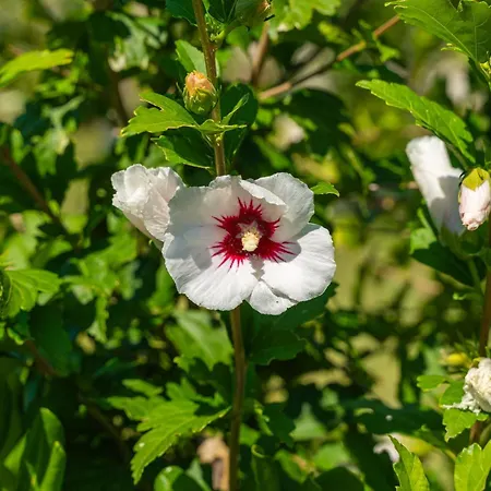 House Terra Madre Holiday home