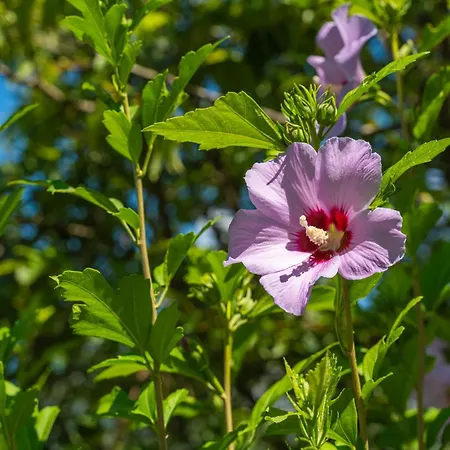 Holiday home House Terra Madre *