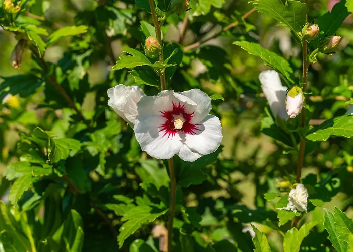 House Terra Madre Сasa de vacaciones