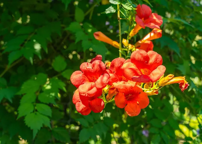 House Terra Madre Сasa de vacaciones *