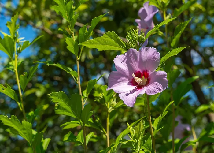 Сasa de vacaciones House Terra Madre *